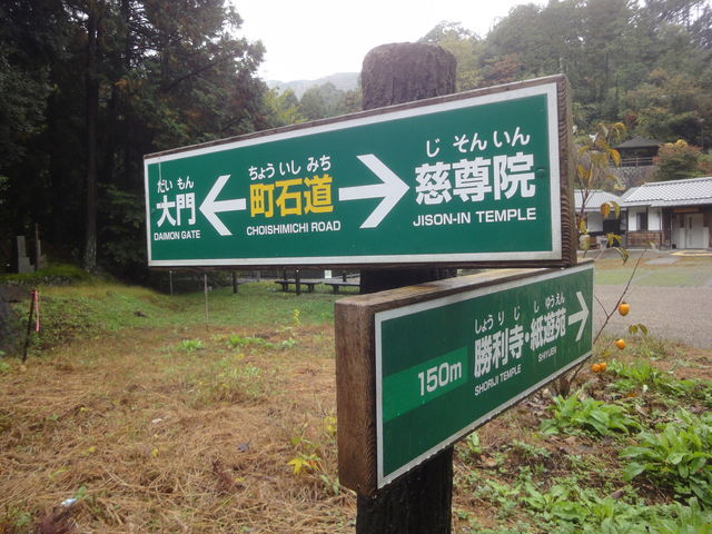 ���Γ�_���Γ�