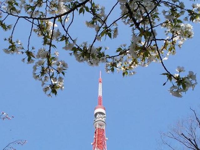 �����^���[�ƍ�_�Ō����y�ё��㎛�����̍�