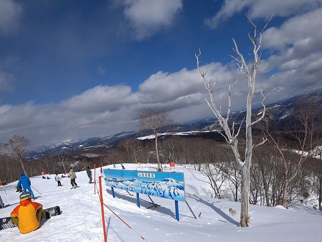 �X�L�[��1_�߂��ق��X�L�[��