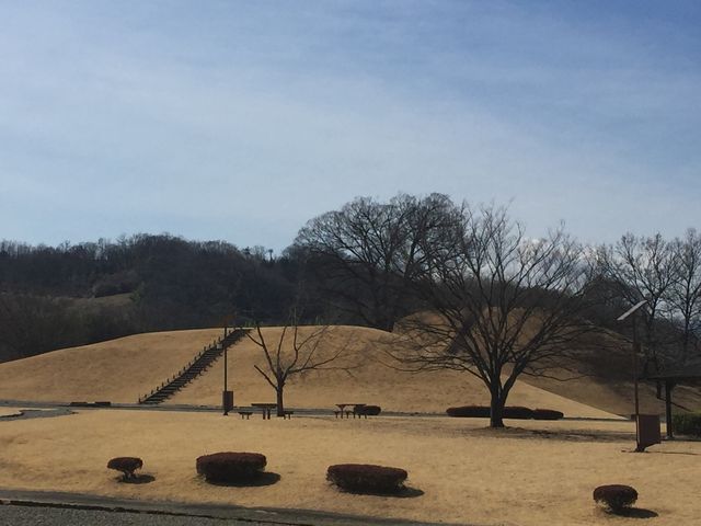 ���������Ȃ���̒��q�ˌÕ��̓��e�ʐ^1