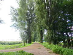 getd̖k|v؂ւ̓eʐ^1