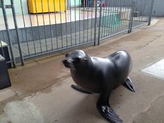 ݂݂̐EW ANAggӂւ̓eʐ^1