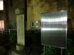 g\̉WPrEZ̉̔ւ̓eʐ^1