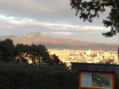 ܂񂳂̌M_Ђւ̓eʐ^1