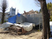 �g�����\����̐򕟎���t���̓��e�ʐ^1