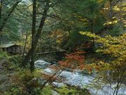 ݂ق񂳂̖ʉ͌k̍gt̓eʐ^1