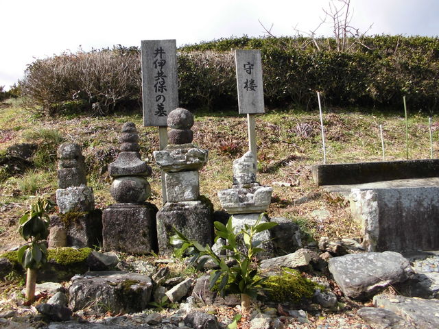 a鎃ɋۂ̕EO_aɉƕ揊