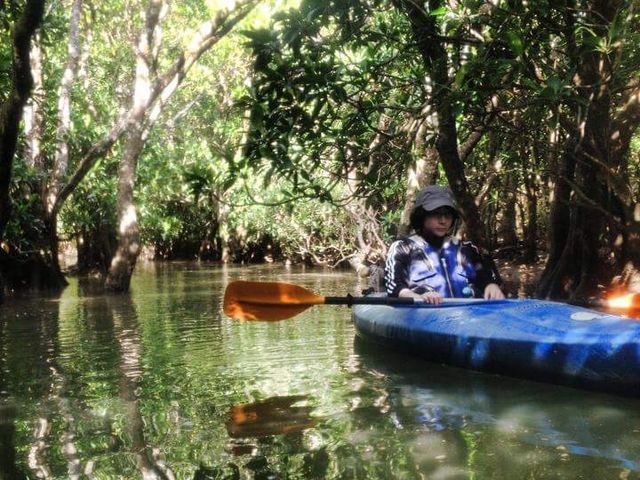 ~L[̃}O[uJk[c[O̓eʐ^1