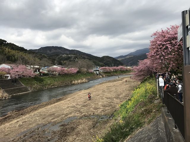 ������p�`��_�͒Í��܂�