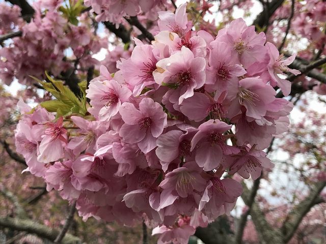 �ߋ�������p�`��_�͒Í��܂�