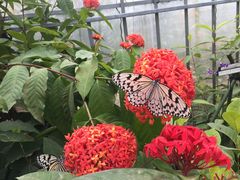 P̐\AWcA[KAGUYAւ̓eʐ^1