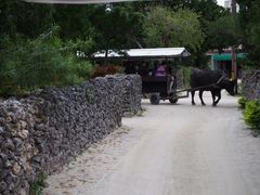 Vl̐Ί_h[όւ̓eʐ^2