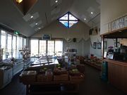 NXElEr̓̉w ͖̓eʐ^1