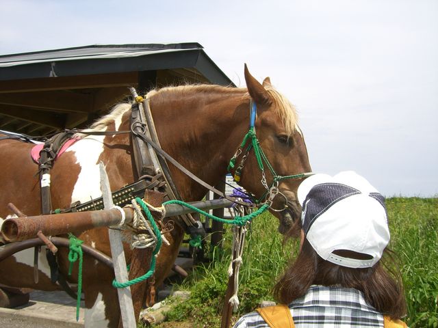 �n�Ԃ����邯�ǁA����_�T���}�΃��b�J�l�C�`���[�Z���^�[