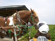 `܂˂̃T}΃bJlC`[Z^[̓eʐ^2