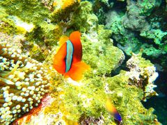 ݂̐Ί_cA[KChI[u[ւ̓eʐ^3