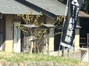 �~�b�V�F������̔��`��Ղ̓��e�ʐ^2