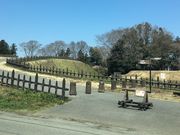 �~�b�V�F������̔��`��Ղ̓��e�ʐ^4