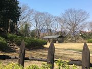 �~�b�V�F������̔��`��Ղ̓��e�ʐ^5