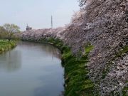 �܂�����̖k�z�J�̍��̓��e�ʐ^1