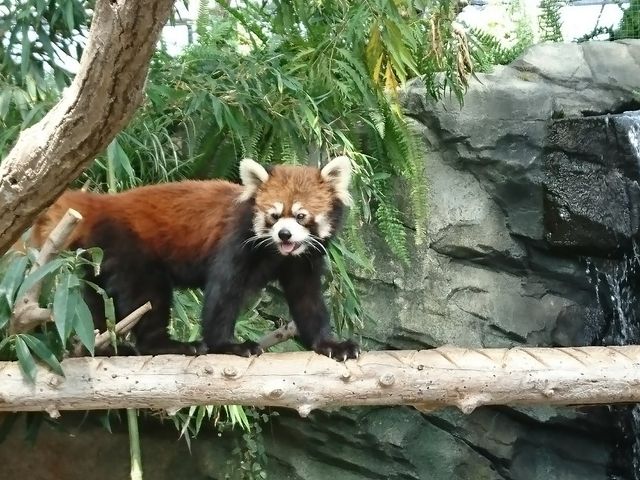 bT[p_Â͖łȂ悤Ɏ{݂܂Ă܂B__˂ǂԂ