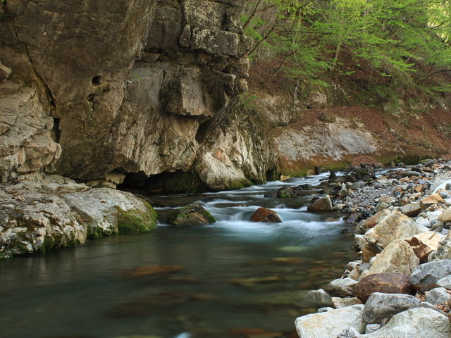 �������񂾐�❗_���܂ǂ葑