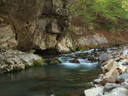 ݂݂̂܂ǂ葑̓eʐ^1