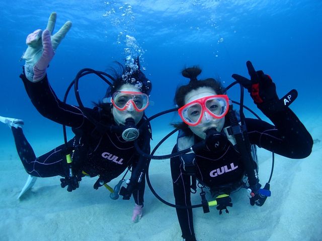 �ʐ^���ƂĂ��Y��Ŋ����������ł��B_Udive