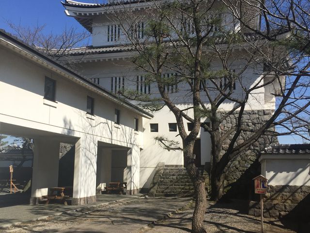 �����ڂ��[�������W��������Ă��܂��B_�E�隬