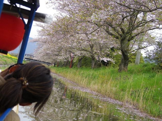 ���ƍ؂̉Ԃ̐��H_�����߂���(�ߍ]�����a�D�ό������g��)