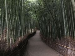 }Cann̒|т̓ւ̓eʐ^1