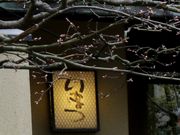 Ƃ񂳂̂܂{̓eʐ^1