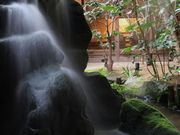 Ƃ񂳂̂܂{̓eʐ^2