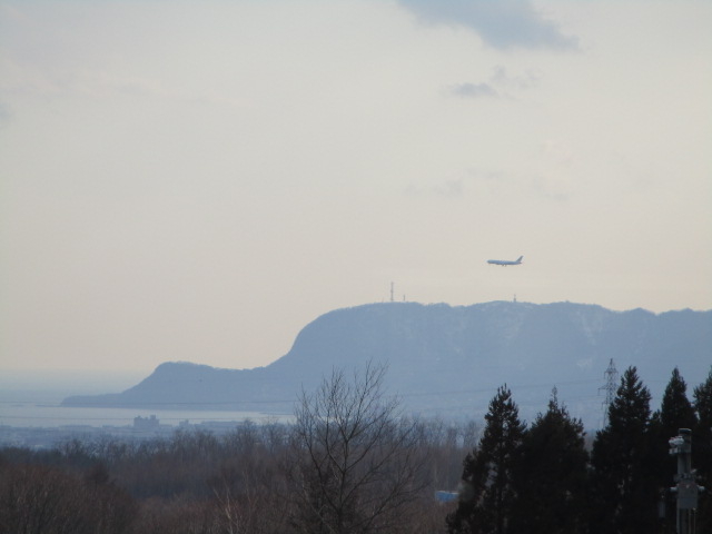 yosshycafe T's+̓eʐ^6