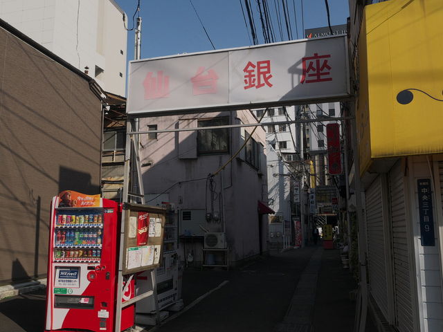 �����_��������X�X