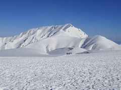 eri̗RAy[gyxRzւ̓eʐ^2