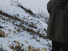 eri̗RAy[gyxRzւ̓eʐ^3