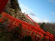 スペックさんの高山稲荷神社の投稿写真2