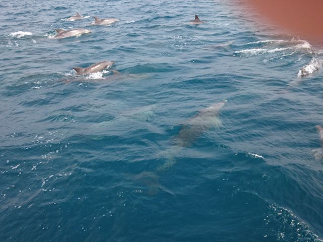 �߂��Ⴍ����߂��ł��B���肵����G��邩��(��)_�V���ό��C���J�E�H�b�`���O �h���t�B���N���[�Y