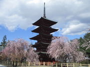 yosshy̍ŏ@܏d̓eʐ^2