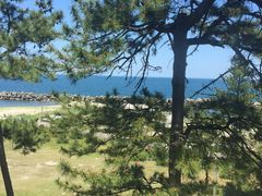 sunnysmile̓ւ̓eʐ^1