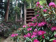 nbs[ƃ`rR̎̐ΓԂ̓eʐ^2