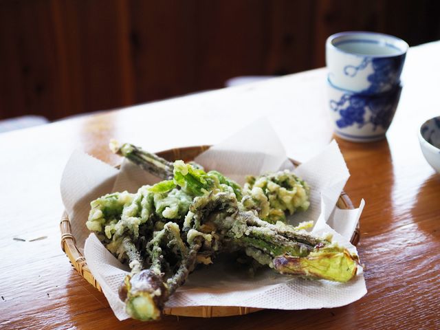 �I�v�V�����̎R�ؓV�Ղ�B�V�R�̎R�؁A�傫���Ĕ����B_�����݂̗��@�l�G�̉�