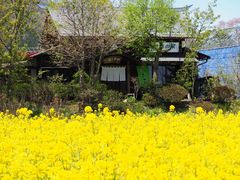 ꂢ񂳂݂̗̂@lG̉Ƃւ̓eʐ^1