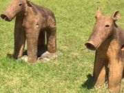 Ђ񂳂̌F{Õق̓eʐ^2