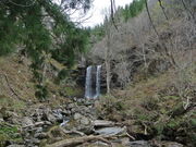 papi̕vwi򕌌Ssj̓eʐ^1