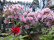 ANN̍ǌjف@AMISU̓eʐ^2