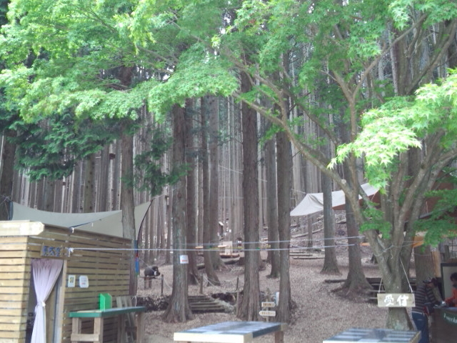 tHXgAhx`[Og_tHXgAhx`[Og