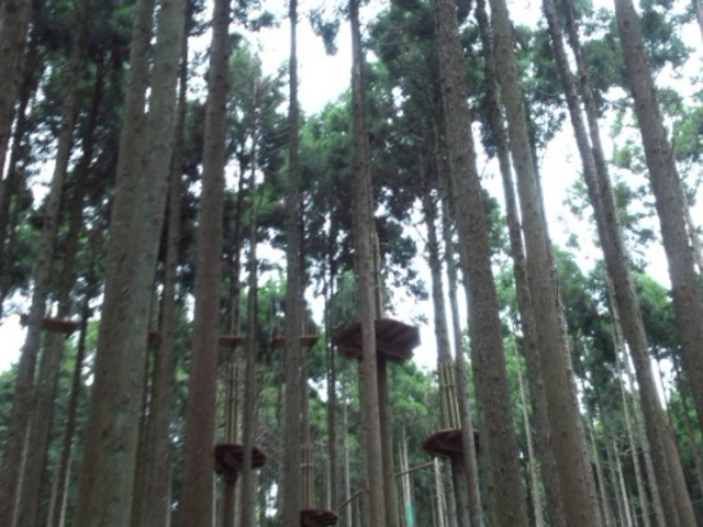 tHXgAhx`[Og_tHXgAhx`[Og