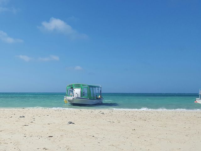 ���̓��㗤�I�I_���S�Ґ��_�C�r���O�X�N�[�����܂�